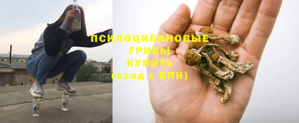 шишки Алзамай