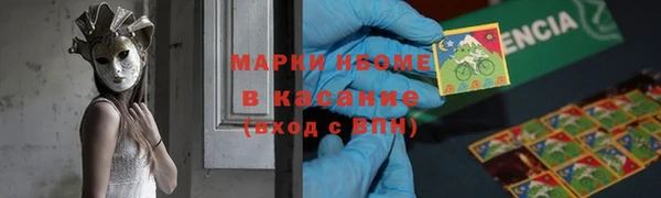 шишки Алзамай