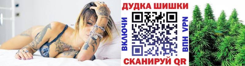 Бошки Шишки планчик Полярные Зори